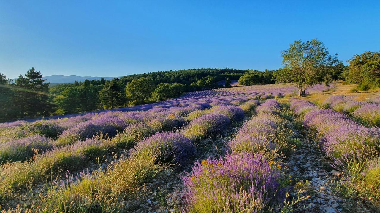 A Ventoux Yourte Monieux Buitenkant foto