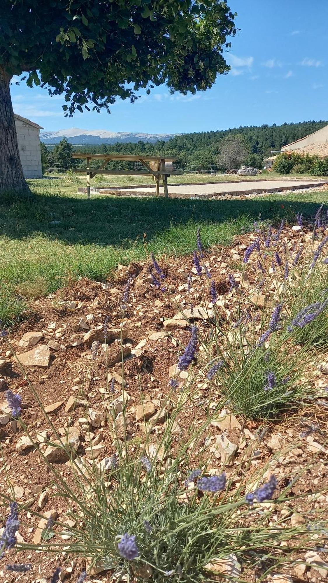 A Ventoux Yourte Monieux Buitenkant foto
